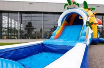 Multiplay Poisson Clown Super Aquatique (vue 2)
